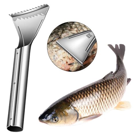 fish descaler|The 10 Best Fish Scalers Of 2025 .
